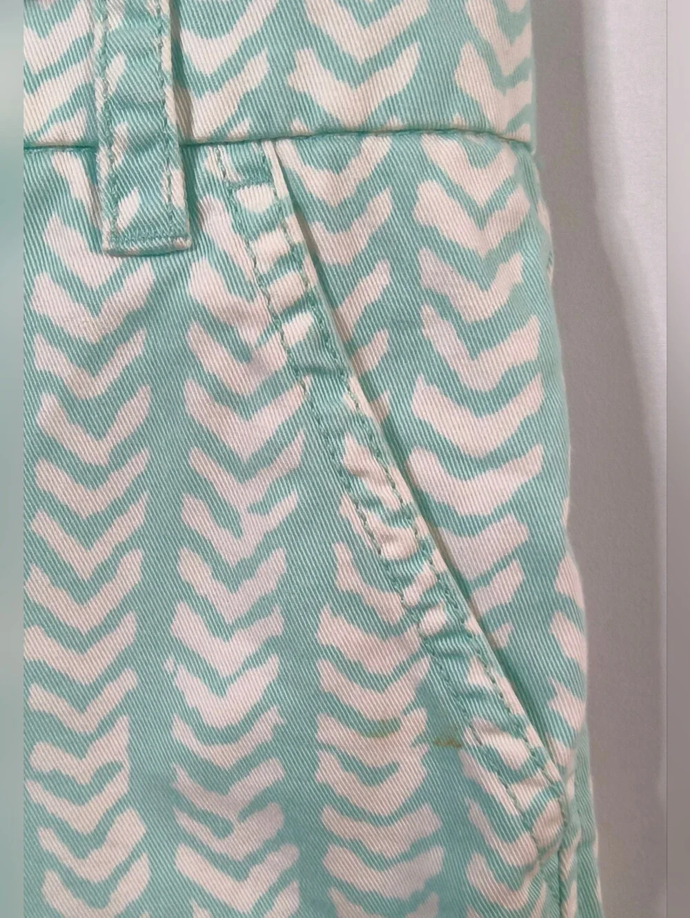 J. Crew Mint and White Patterned Chino Shorts
